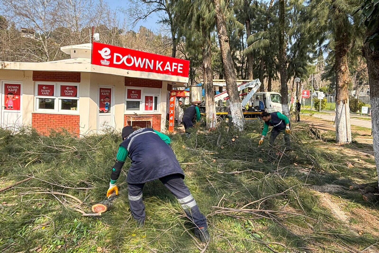 Pinarbasi Mesire Alani Yenilenen Yuzuyle Misafirlerini Bekliyor 649204 909C2E1A6C2D0B3Bd7Bb4422Fb483Fa1