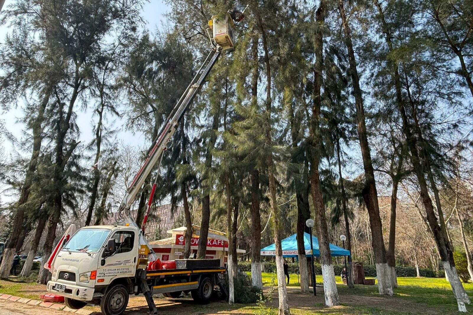 Pinarbasi Mesire Alani Yenilenen Yuzuyle Misafirlerini Bekliyor 649204 De534B52B9E98B06B8A27Bec12647B66