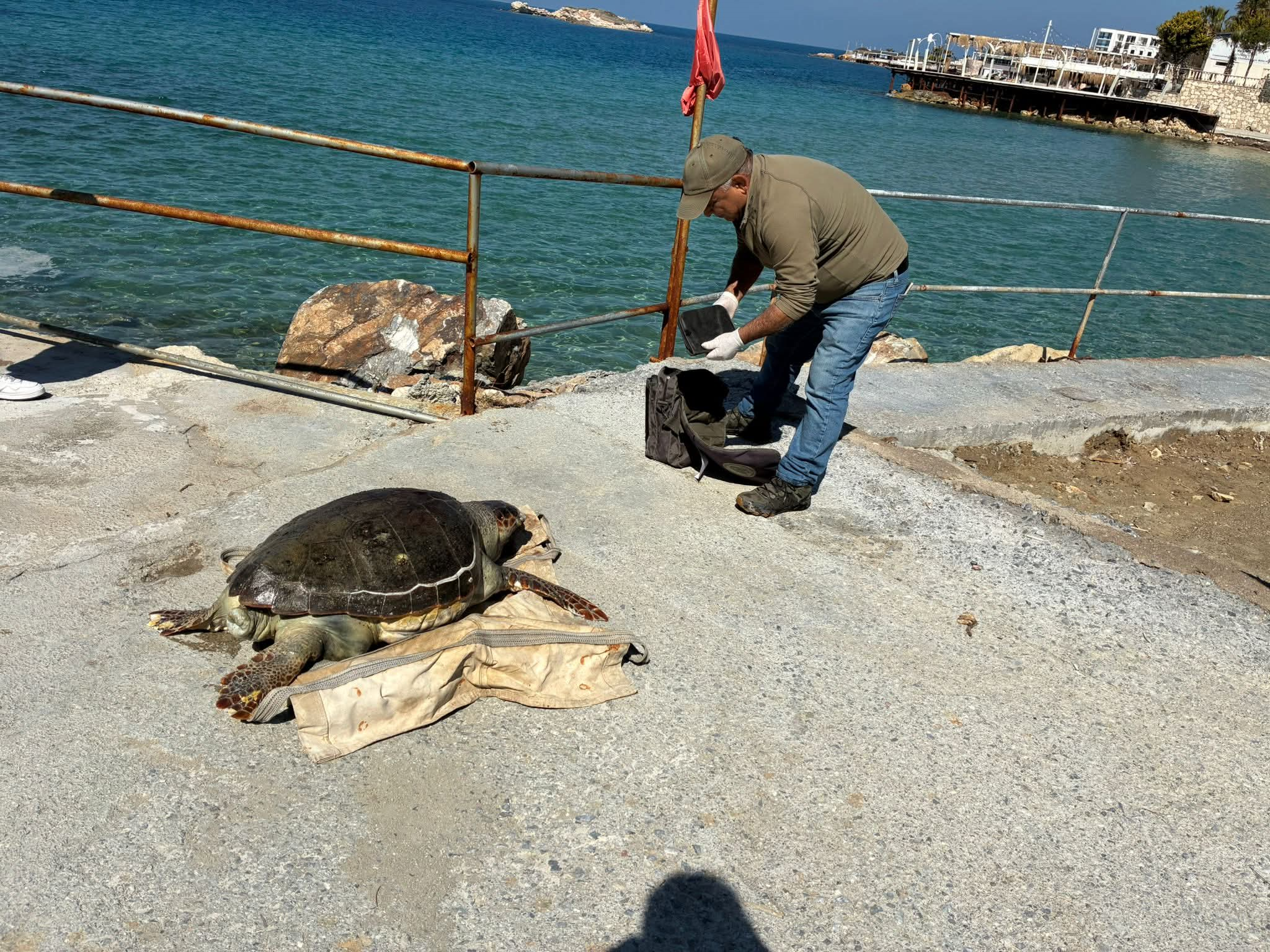 Trol Aglari 7 Deniz Kaplumbagasini Yasamdan Kopardi 650272 1Ee827Cde027B77F056Cbbe0F9Efdea7