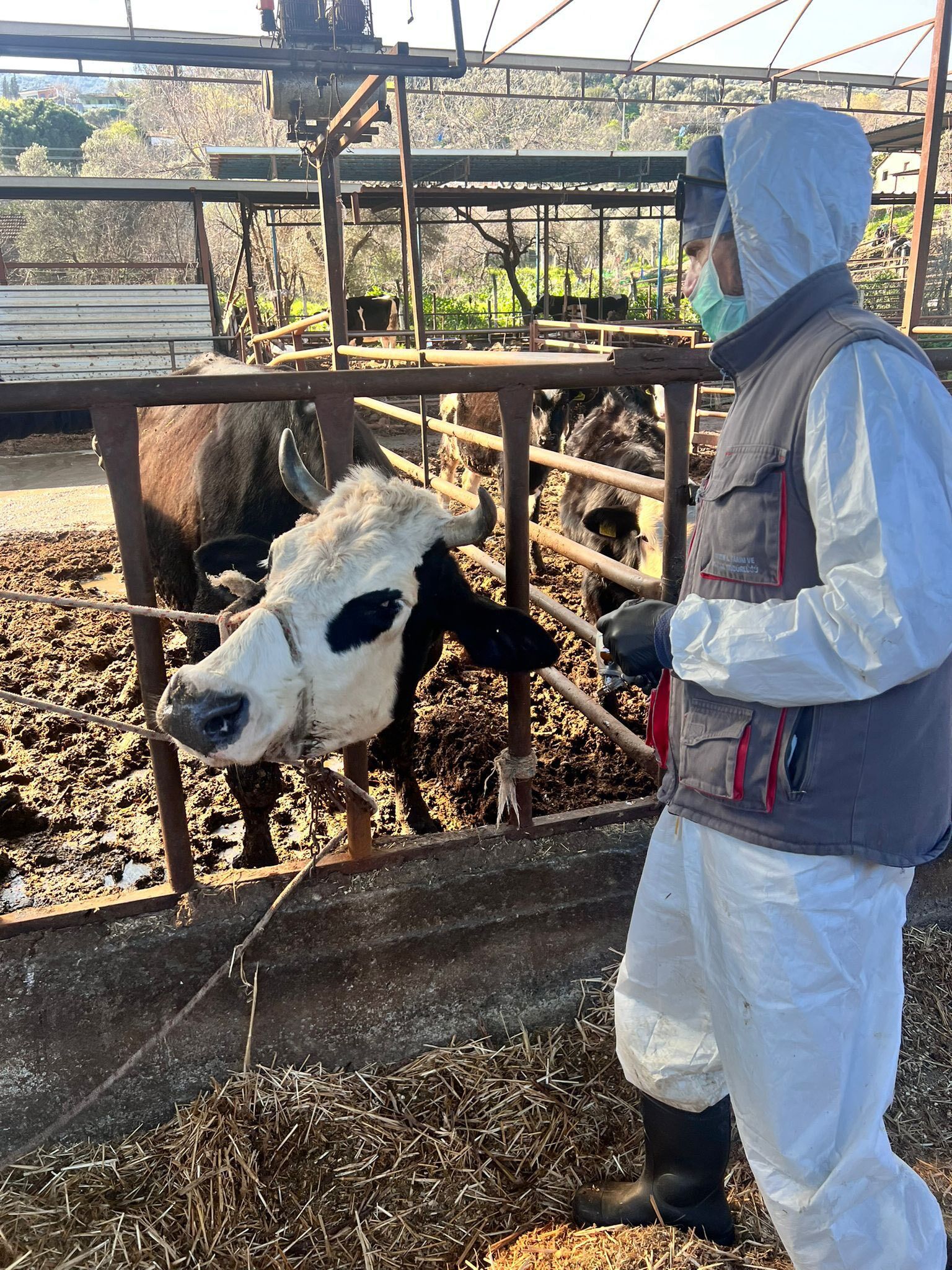 Ureticinin Gozu Kulagi Bu Karardaydi 6 Martta Aciliyor 643930 B8417642C1Da8C4A3Eb1417B1B99A8Cc