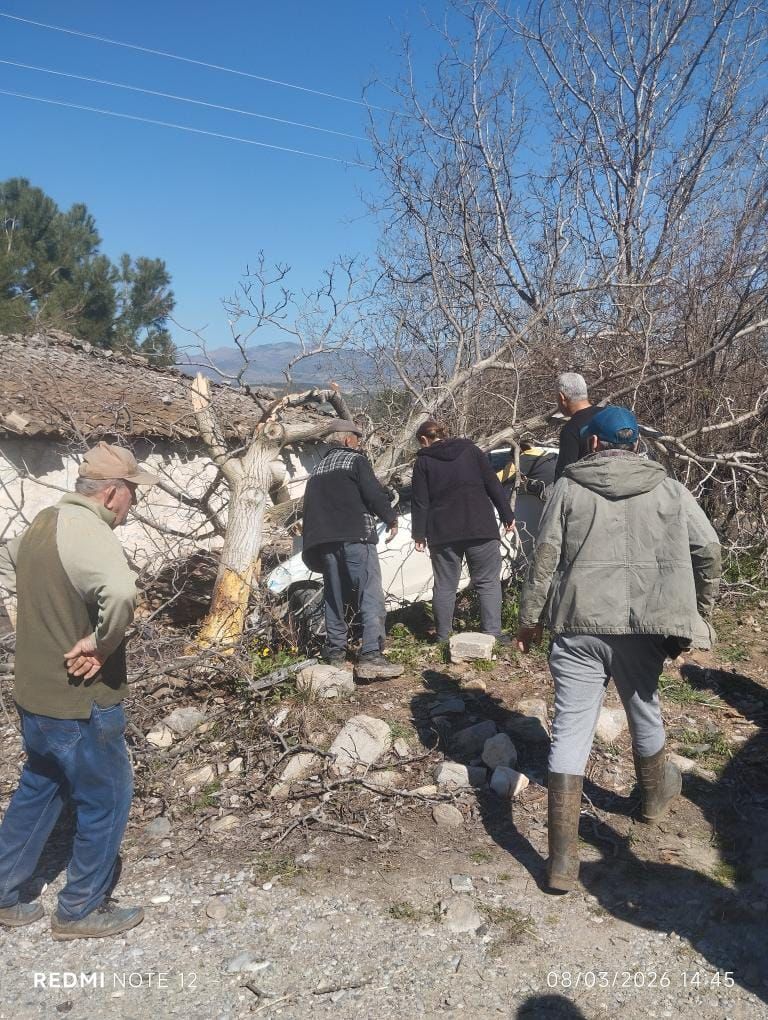 Whatsapp Image 2026 03 08 At 17.43.23