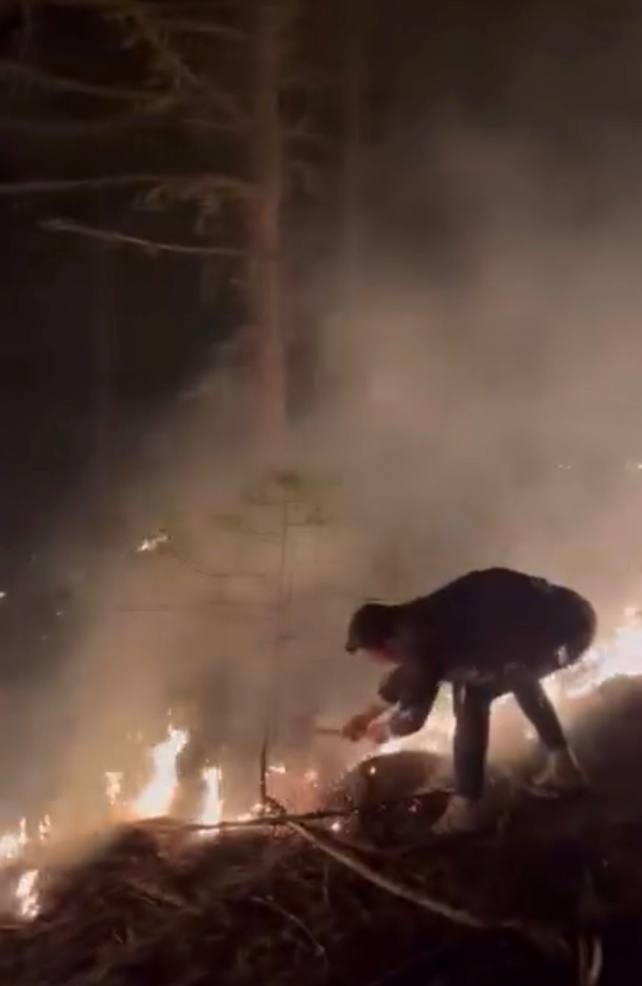 Whatsapp Image 2026 03 08 At 23.29.55 (1)