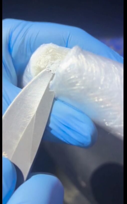 Whatsapp Image 2026 03 26 At 18.32.31