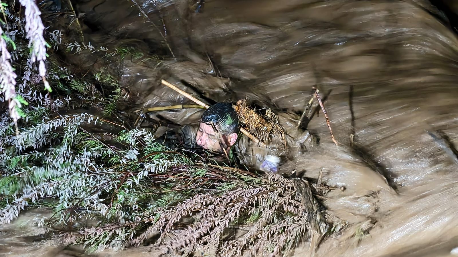 Whatsapp Image 2026 03 29 At 04.43.20 (1)