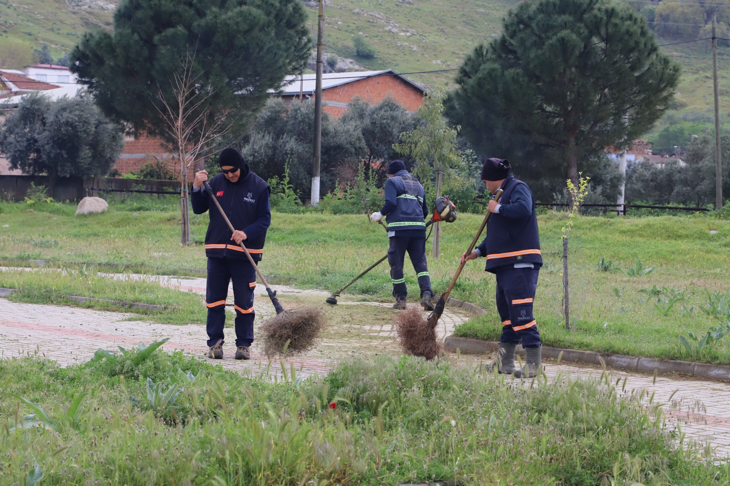 Whatsapp Image 2026 03 31 At 11.05.47