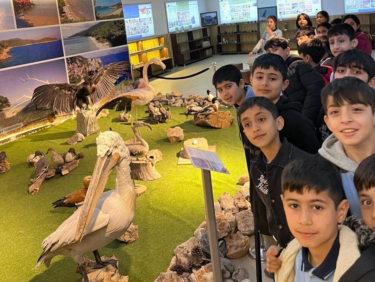 Yaban Hayatini Egitim Merkezinde Ogrendiler 1Cb911Bf22C5F9318Bc769Dc4Dab7D2F