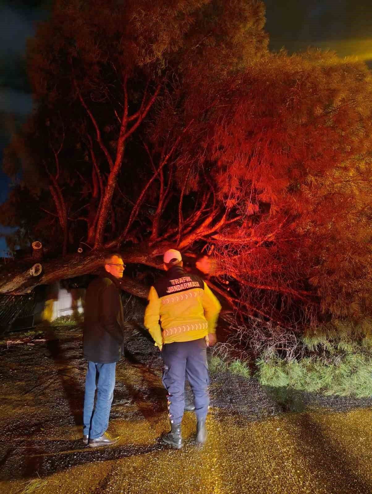 Yagis Cam Agacini Devirdi Ekipler Calisma Baslatti B52Fc59F9E5A66A05C1Efd45A9530235