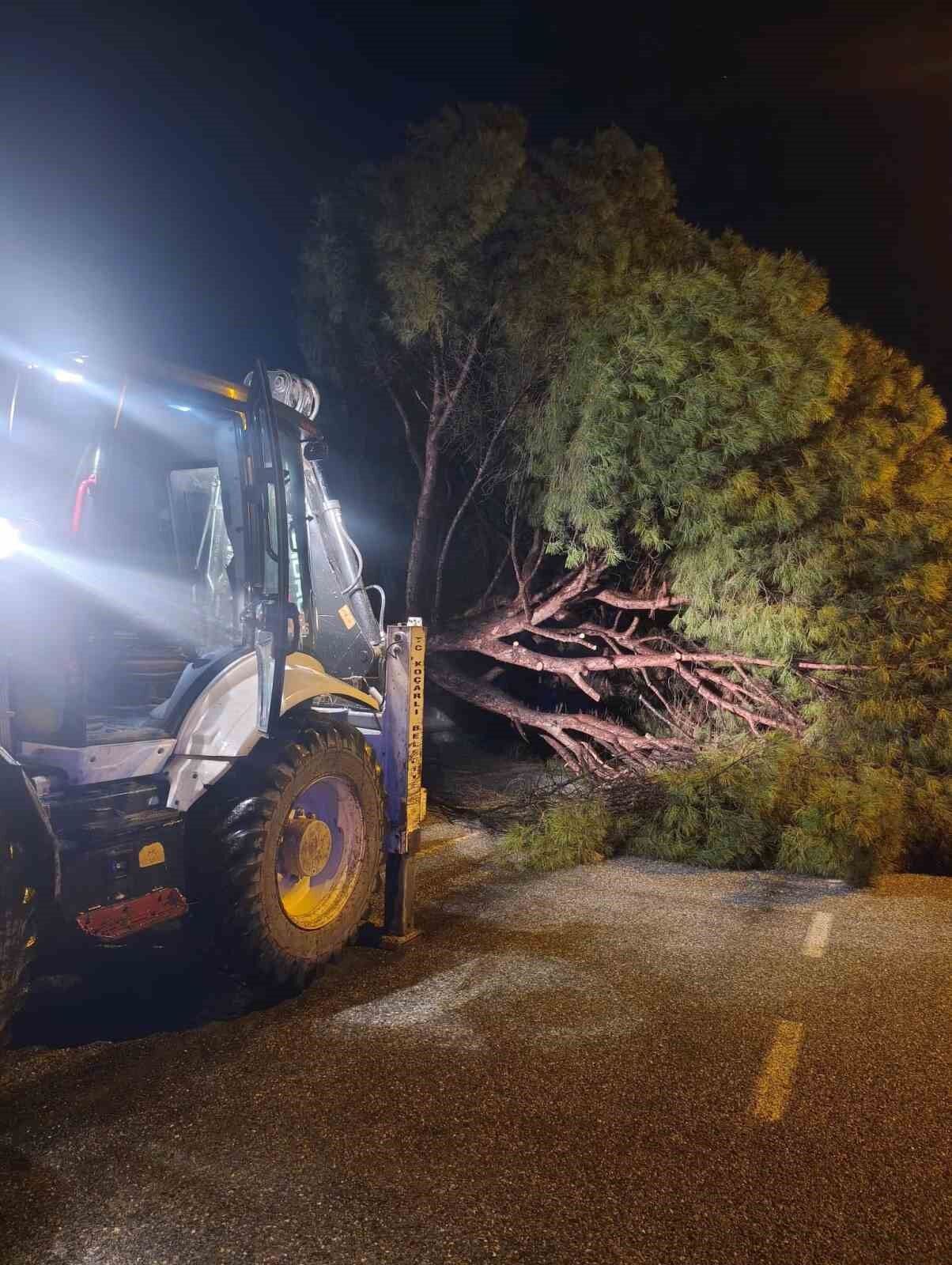 Yagis Cam Agacini Devirdi Ekipler Calisma Baslatti Bb6Be17567Db62A01Bb7Cb3Dcd53F35B