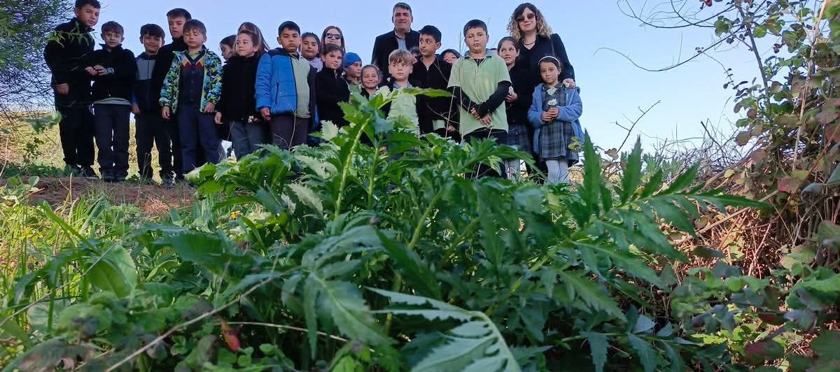 Yaylakoy Ogrencileri Tulusahi Uluslararasi Projeye Tasidi 650170 143Ed6C159Ad40Af87D65F59Ed517Ac2