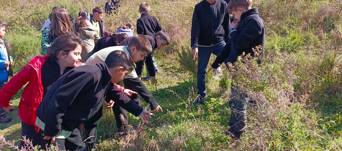 Yaylakoy Ogrencileri Tulusahi Uluslararasi Projeye Tasidi 650170 7D0D46E1B49E675F119C8106C45C4Cc0