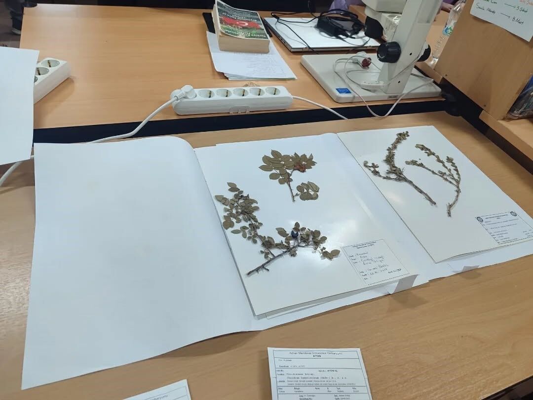 Yenipazarli Ogrenciler Dogayi Bilimle Kesfetti 8B7D9D9150593675219C99B8E0Df04B8