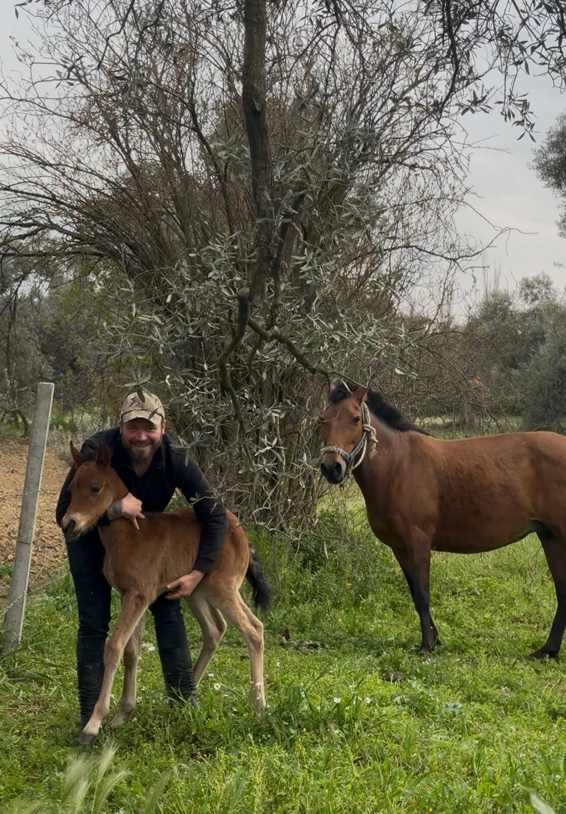 Yurek Isitan Goruntu Incirliovadan Geldi Tellere Takilan Tayi Kurtarip Annesine Kavusturdu 650632 7D8440F638F5Ce4E6E60055567Cc4374