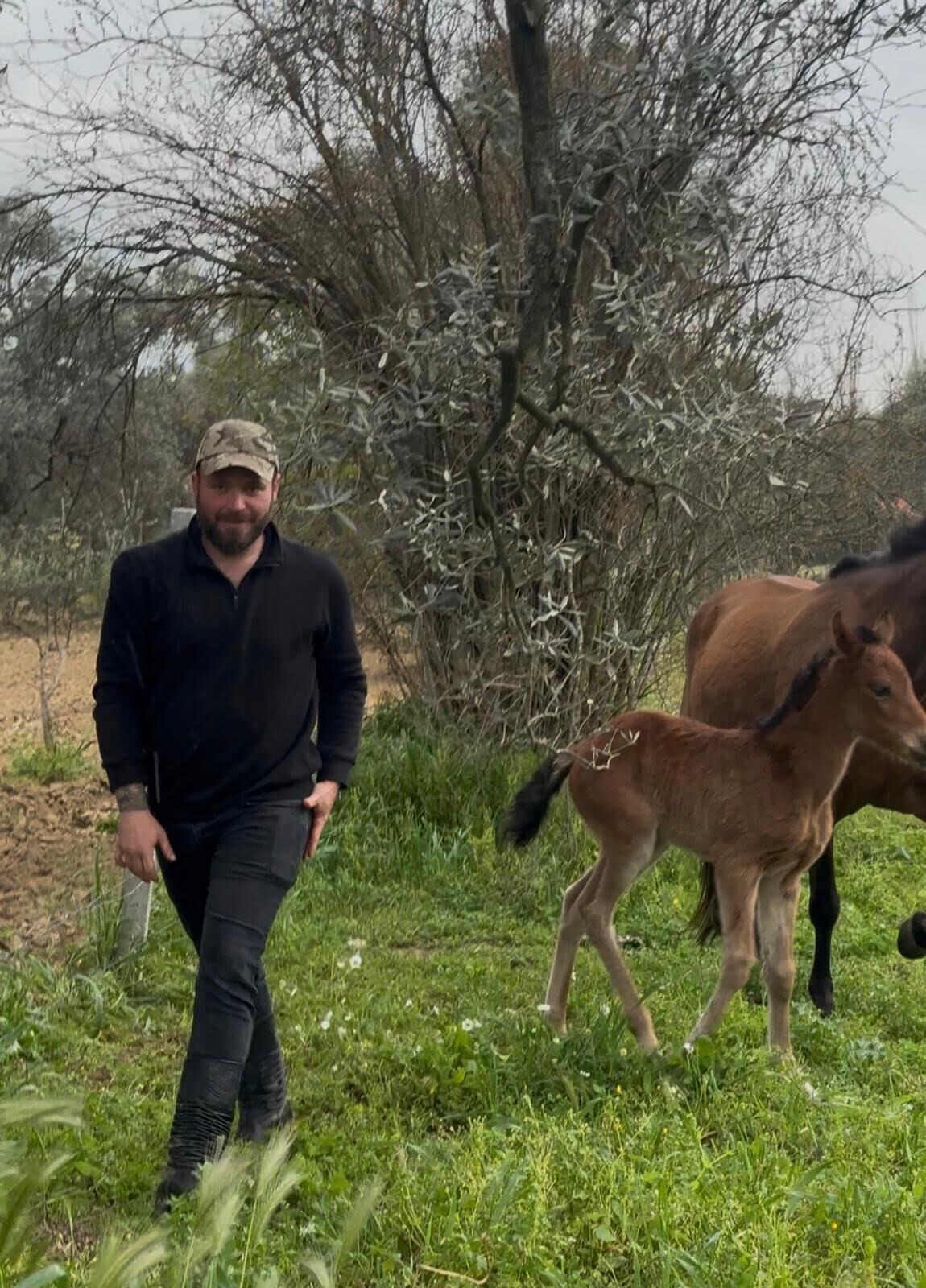 Yurek Isitan Goruntu Incirliovadan Geldi Tellere Takilan Tayi Kurtarip Annesine Kavusturdu 650632 A66B7481E34D78B5Cf89F13135Dbd3B3