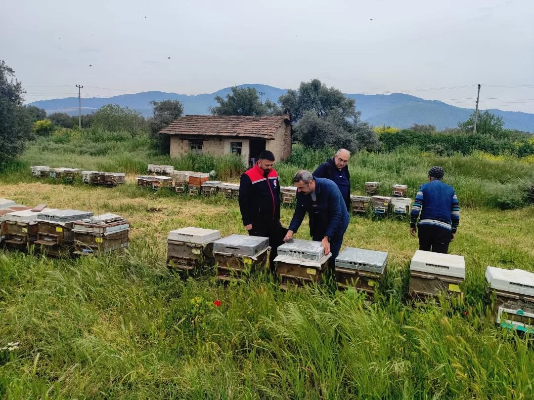 Aydin Aricilikta Liderligini Pekistiriyor 655150 8A1330