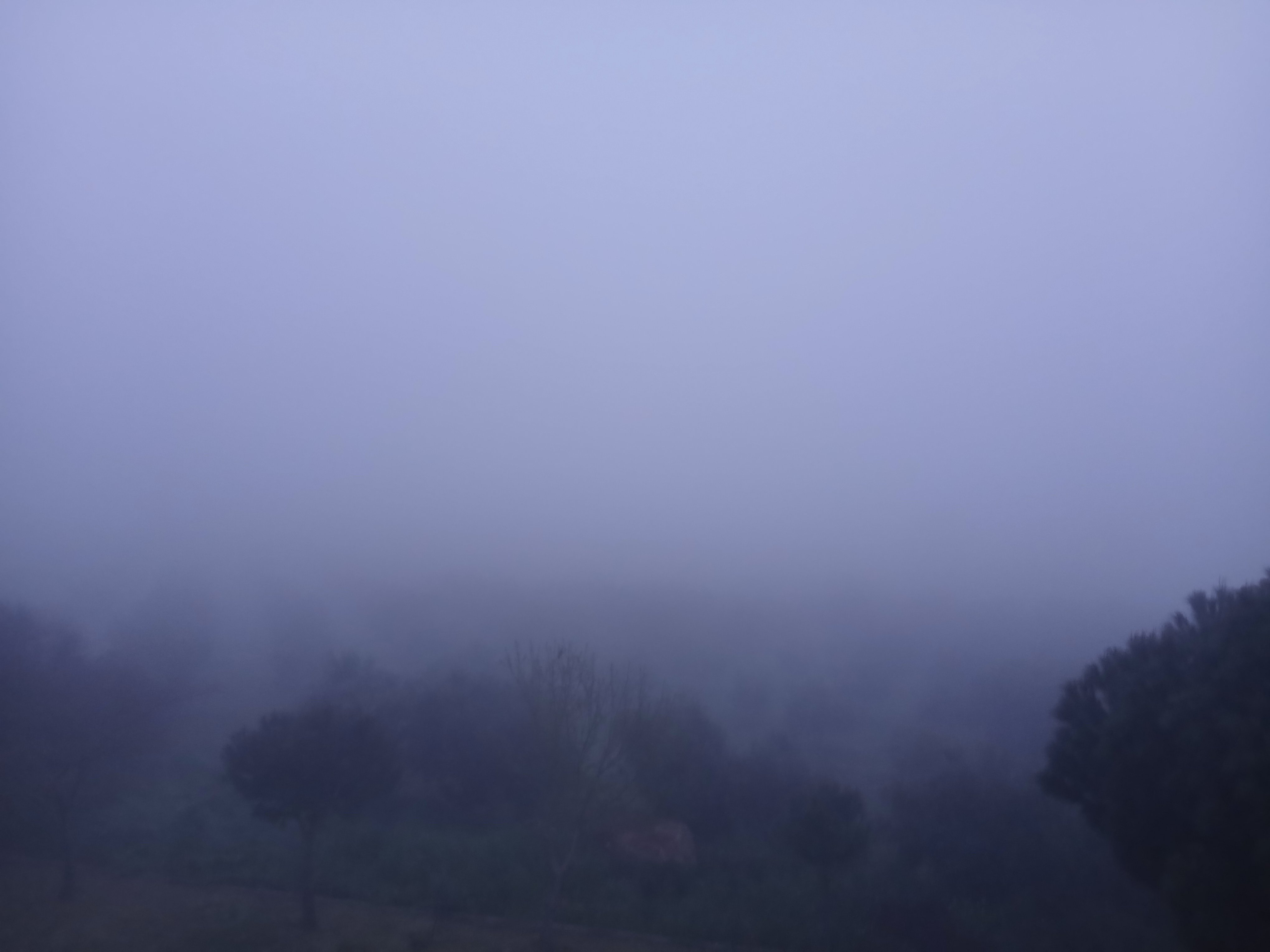 Aydin Karacasuda Zeytin Bahceleri Sis Ve Kus Sesleriyle Uyan 655661 Eda605