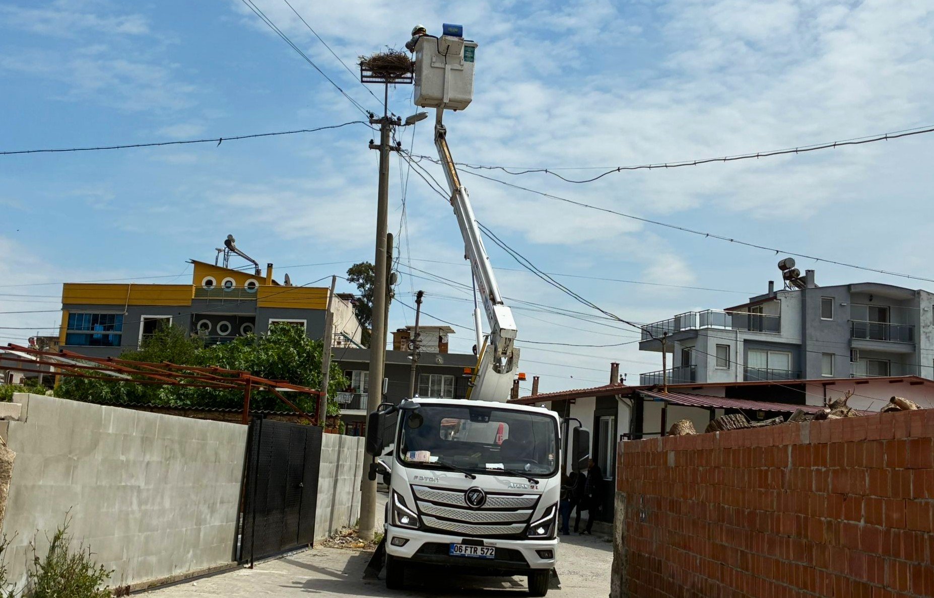 Aydinda Koy Halki El Ele Verip Leyleklere Yuva Yapti 657737 3Df6Fe