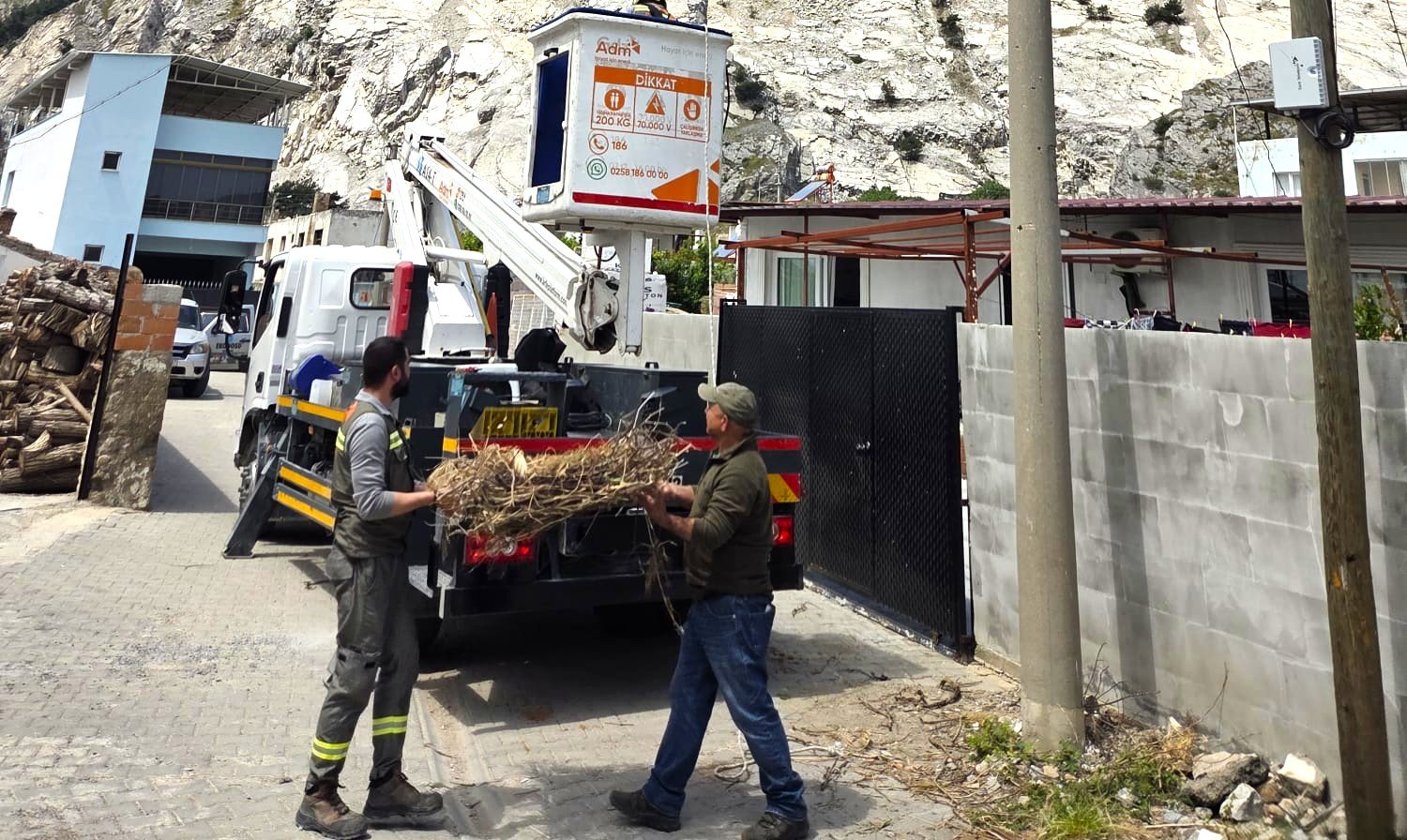 Aydinda Koy Halki El Ele Verip Leyleklere Yuva Yapti 657737 454B7A