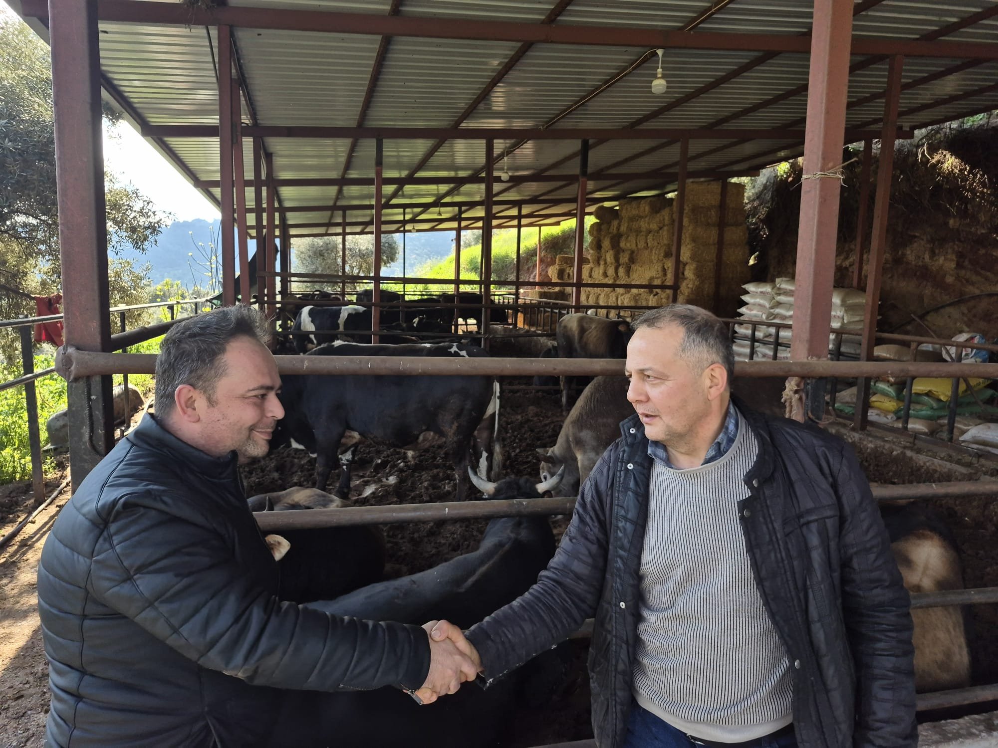 Aydinda Kurban Telasi Basladi Iste En Dusuk Buyukbasin Fiyat 654494 55F419