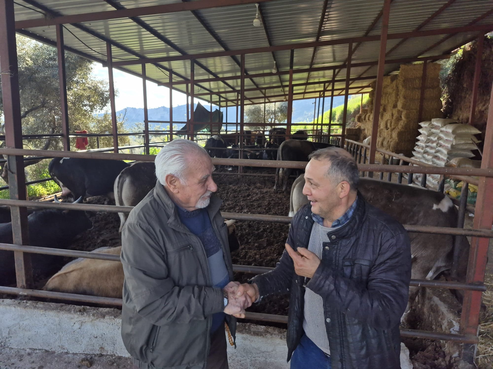 Aydinda Kurban Telasi Basladi Iste En Dusuk Buyukbasin Fiyat 654494 5Afaf5-1