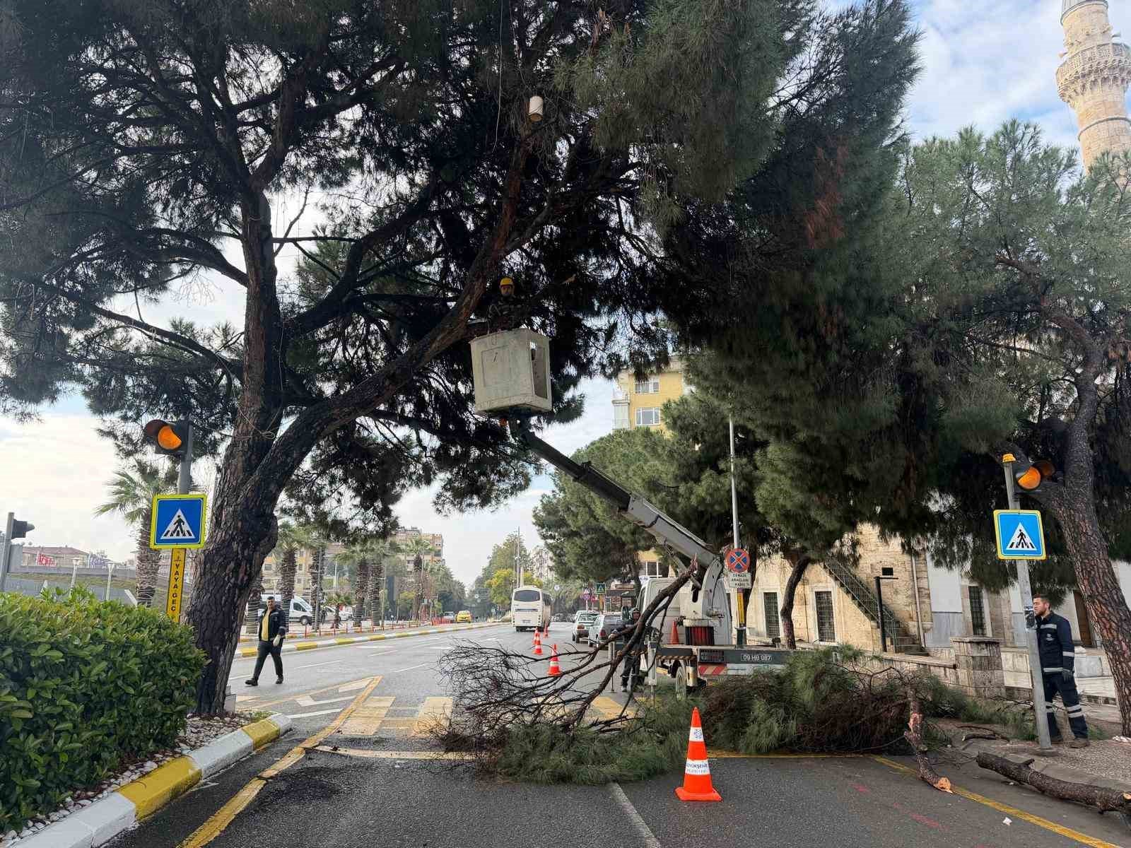 Aydinin En Islek Noktasina Estetik Dokunus F0Eb2Ed7B6C548Ea5A7B1359588D2281