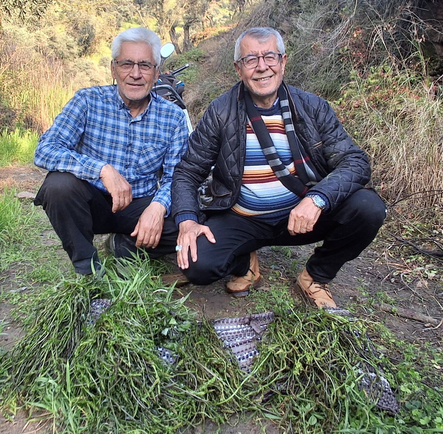 Aydinlilar Bu Lezzet Icin Daglara Akin Ediyor 653316 3392B9020B1Ce21Ae22979Aa83838A91