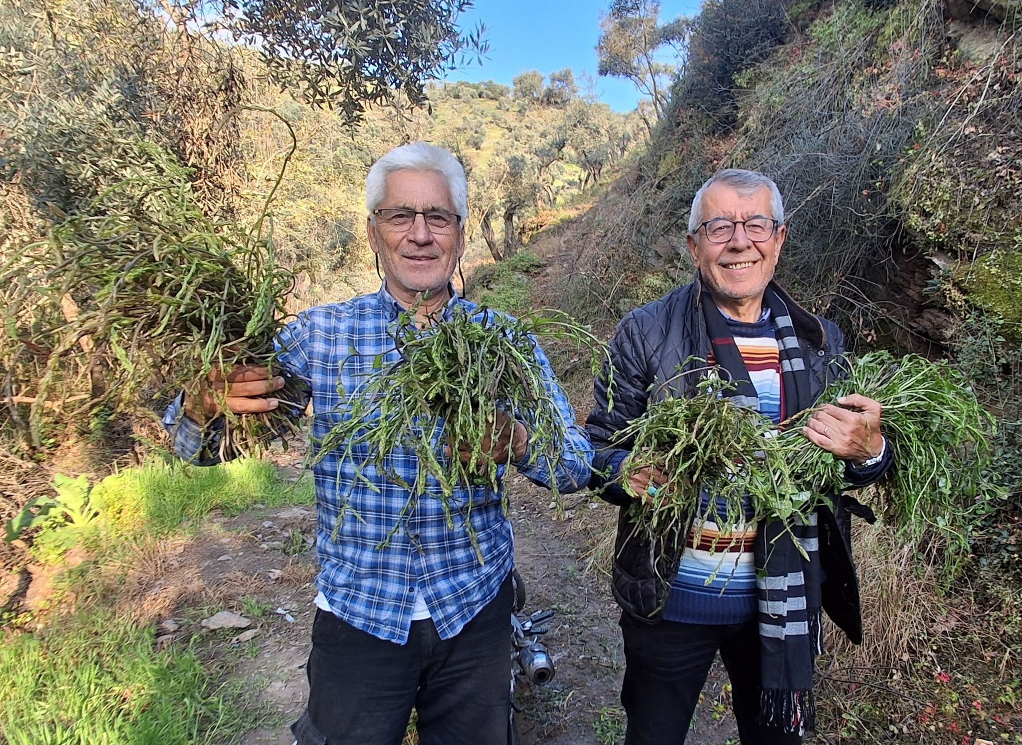 Aydinlilar Bu Lezzet Icin Daglara Akin Ediyor 653316 43D50B52Fccdb5475Bf538258D4Ccd2B