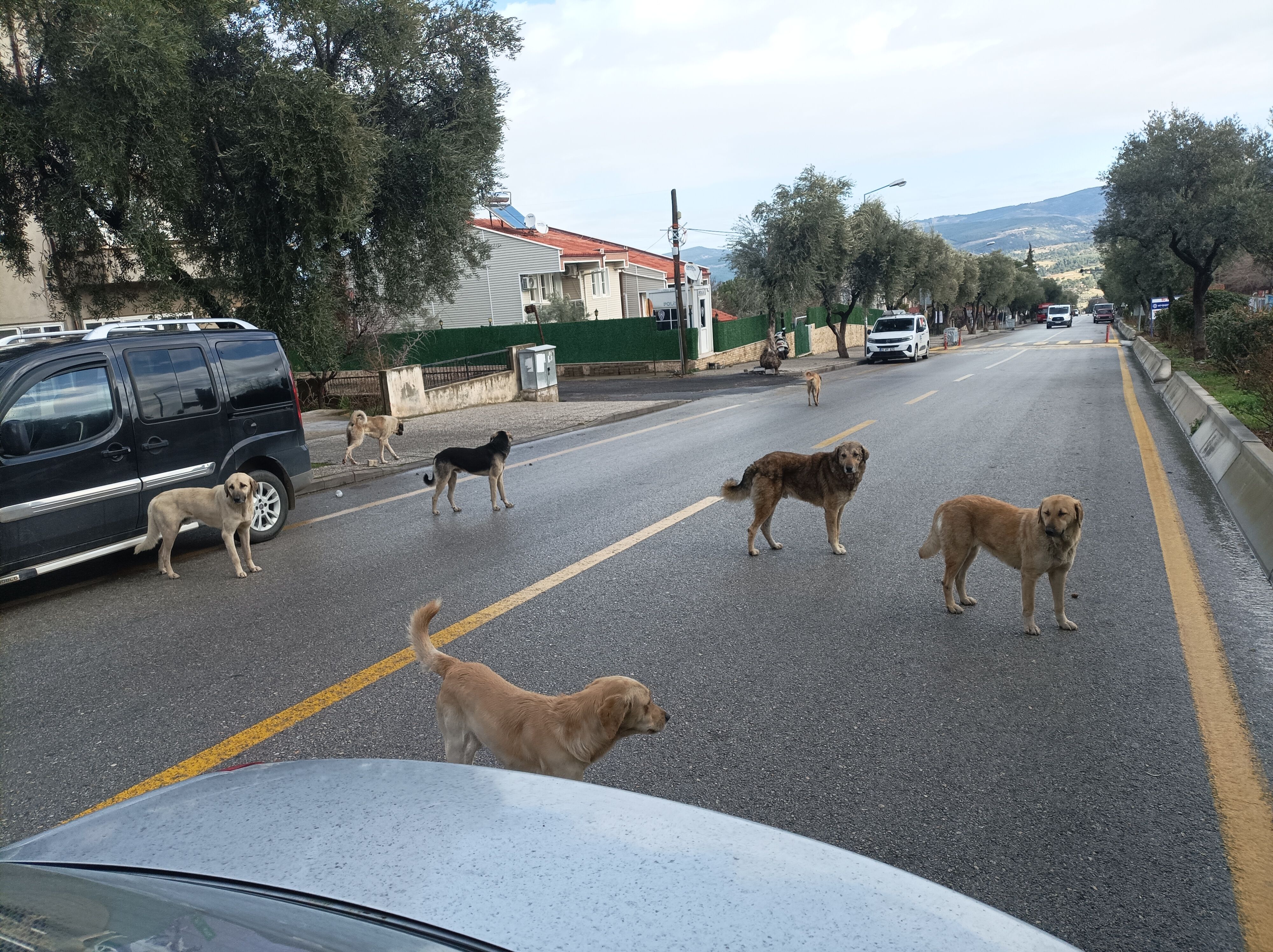 Baskan Buyukyapici Iftira Atmak Kolay Sefkatle Topluyoruz 651812 9014210Cf1922A16881E512A53B96B85