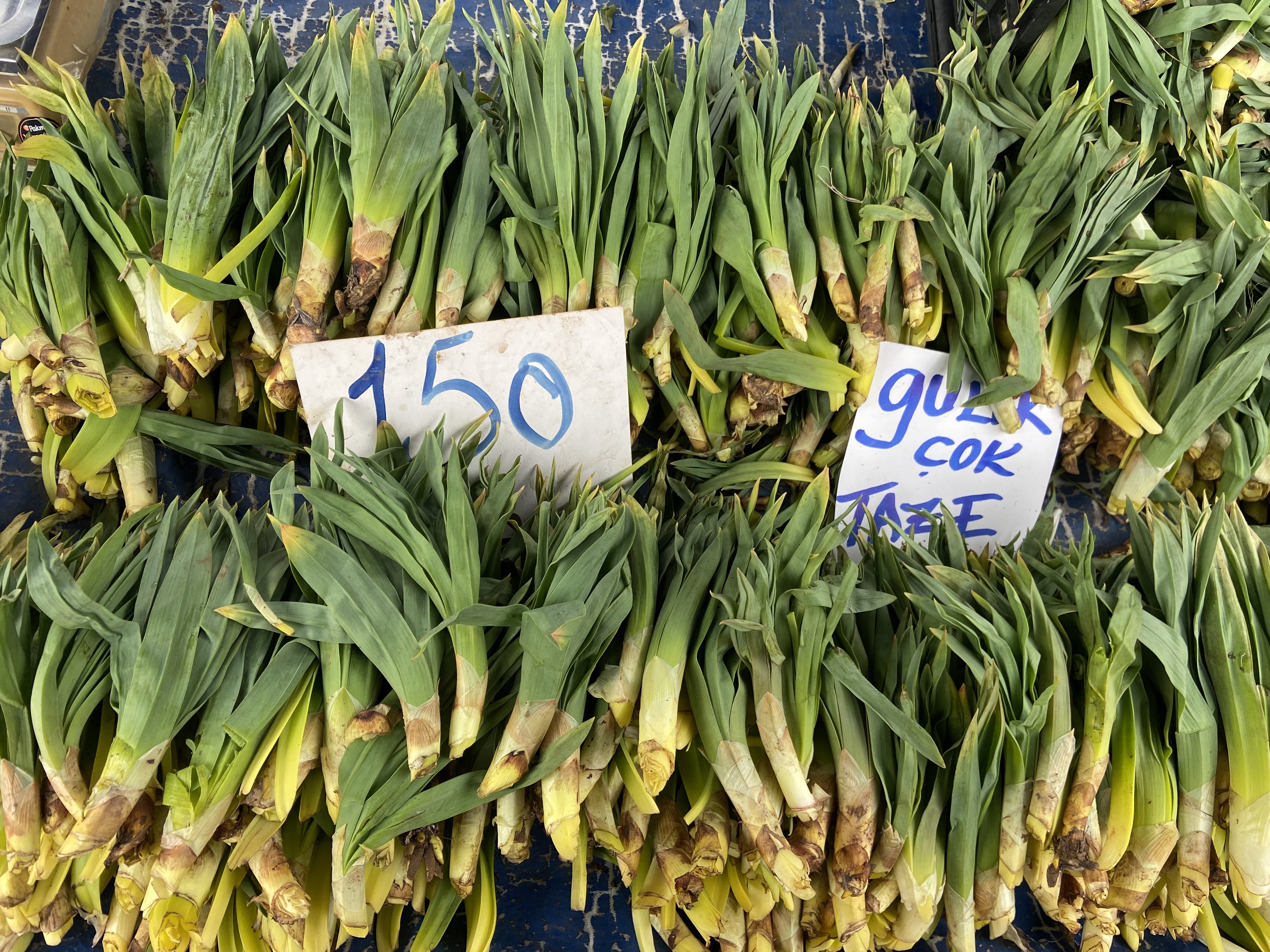 Bir Ay Sonra Yok Aydinda Ciris Otu Icin Son Firsat 657836 321464