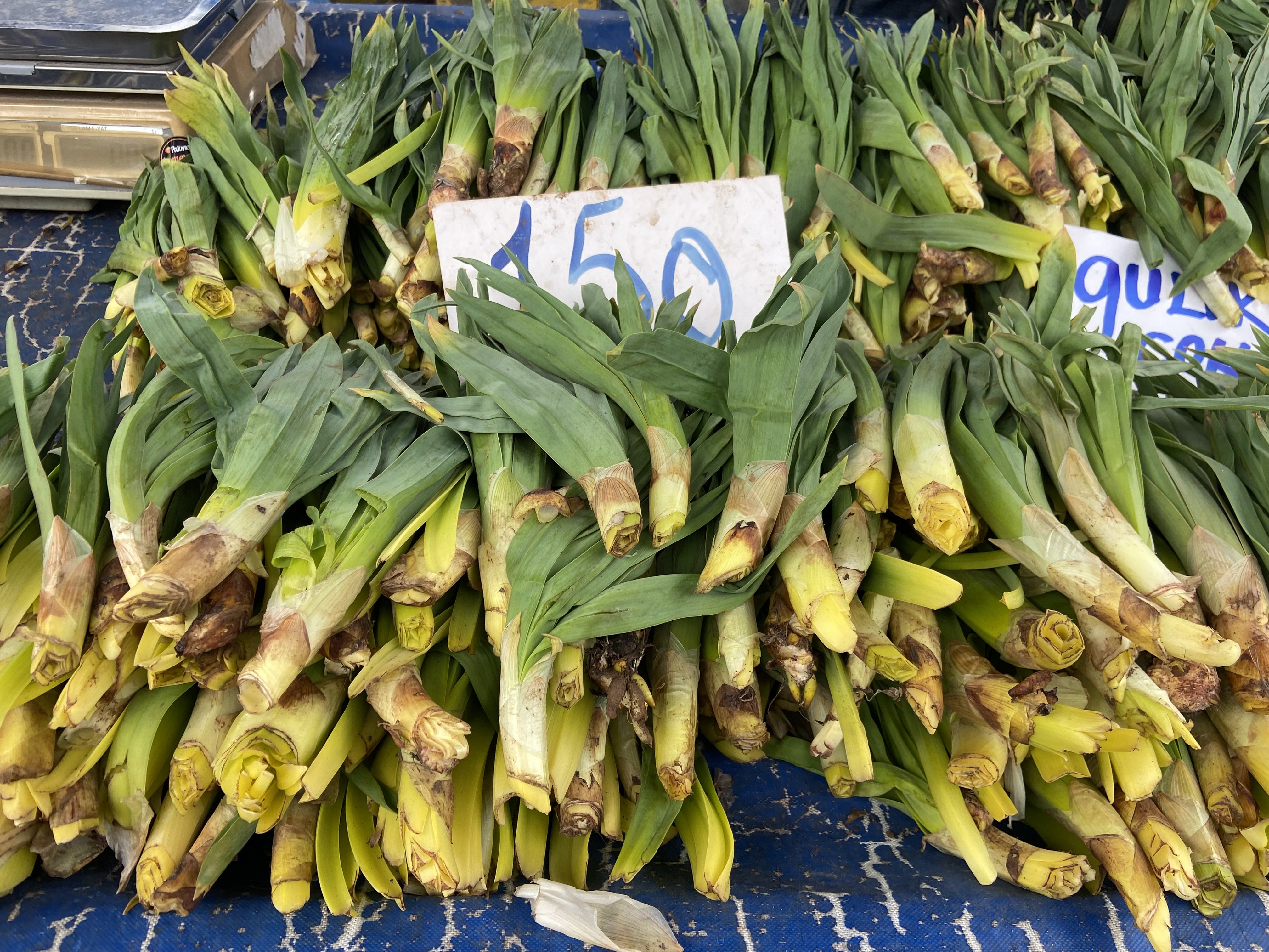 Bir Ay Sonra Yok Aydinda Ciris Otu Icin Son Firsat 657836 5C47Fd