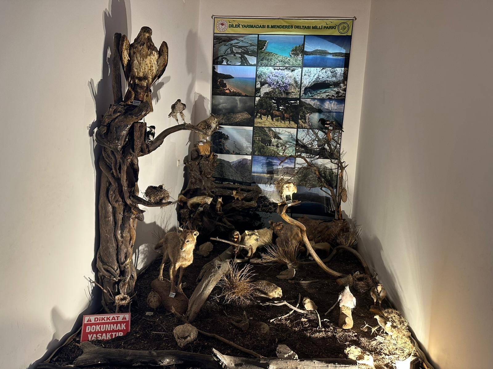 Bir Bina Iki Hikaye Gecmisi Hastane Bugunu Doga Merkezi 657916 4411A9