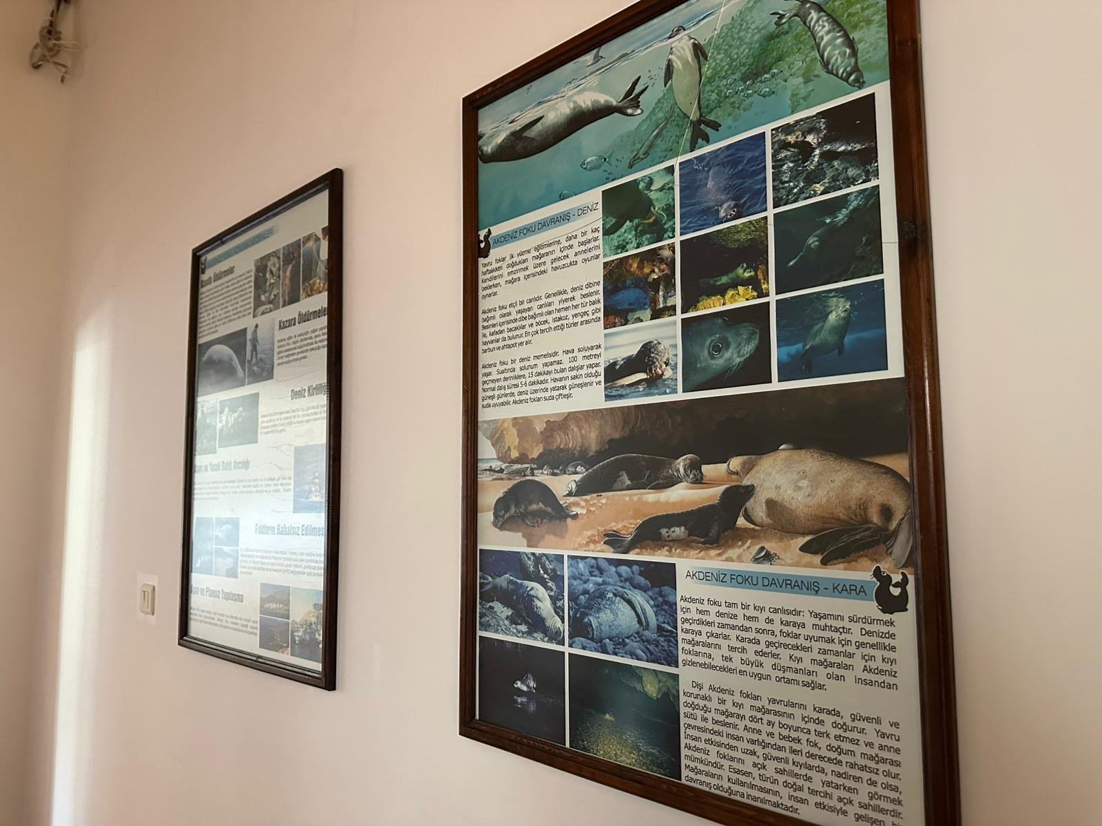 Bir Bina Iki Hikaye Gecmisi Hastane Bugunu Doga Merkezi 657916 442D3A