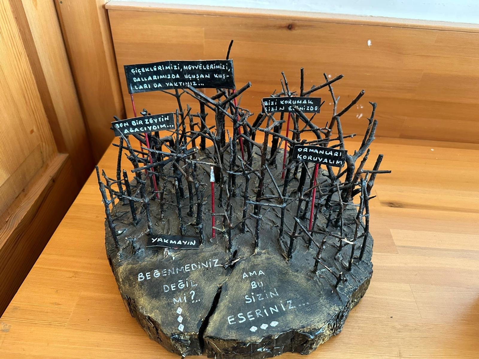 Bir Bina Iki Hikaye Gecmisi Hastane Bugunu Doga Merkezi 657916 B52E4D