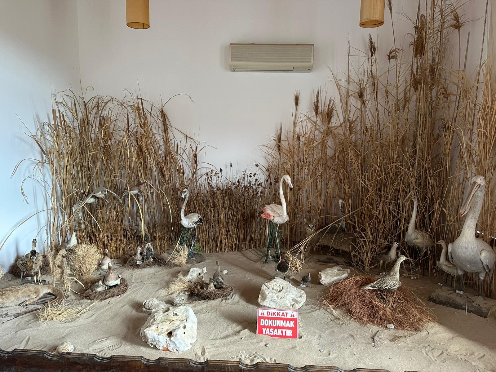 Bir Bina Iki Hikaye Gecmisi Hastane Bugunu Doga Merkezi 657916 Db91C0