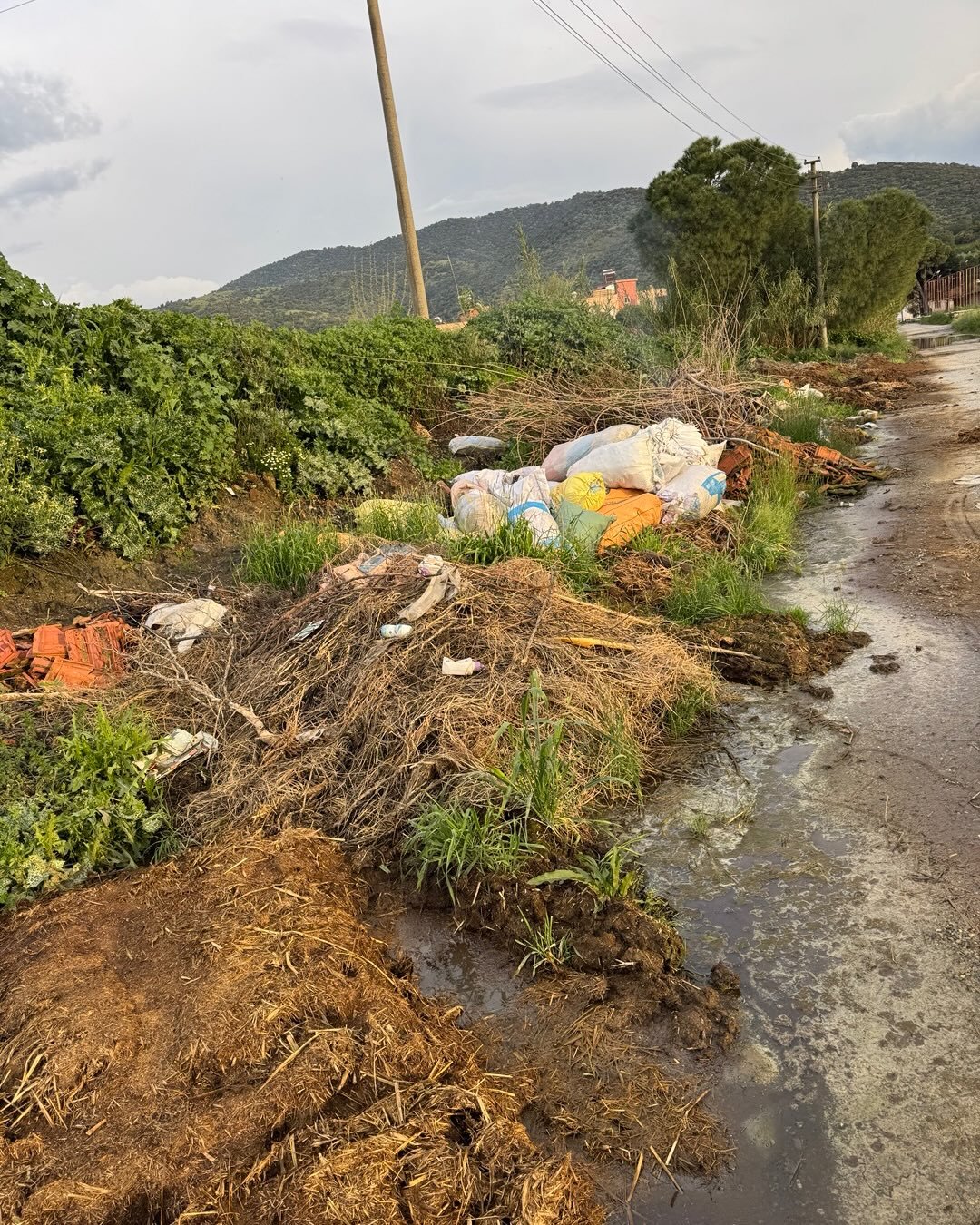 Biyikli Mahallesi Copluge Dondu 653375 73387D356Bf7Ef5319E89109358796B7