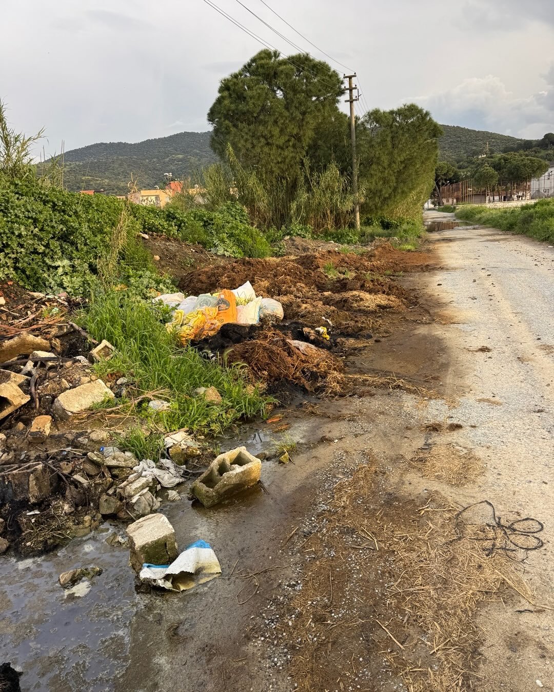 Biyikli Mahallesi Copluge Dondu 653375 E66F0430Bca616A92002Dd2C954E6785