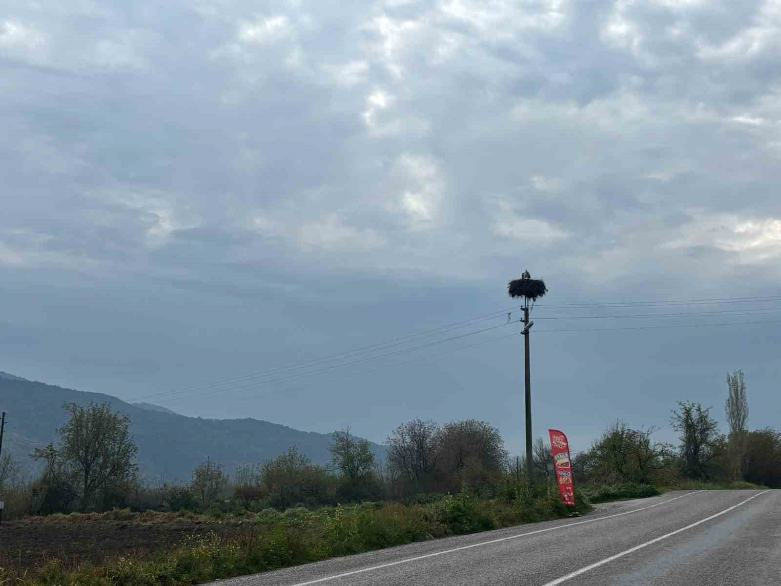 Bozdoganda Baharin Mujdecisi Leylekler Yuvalarina Dondu 2981B7B2795F4992107D7Be2F8Afe789