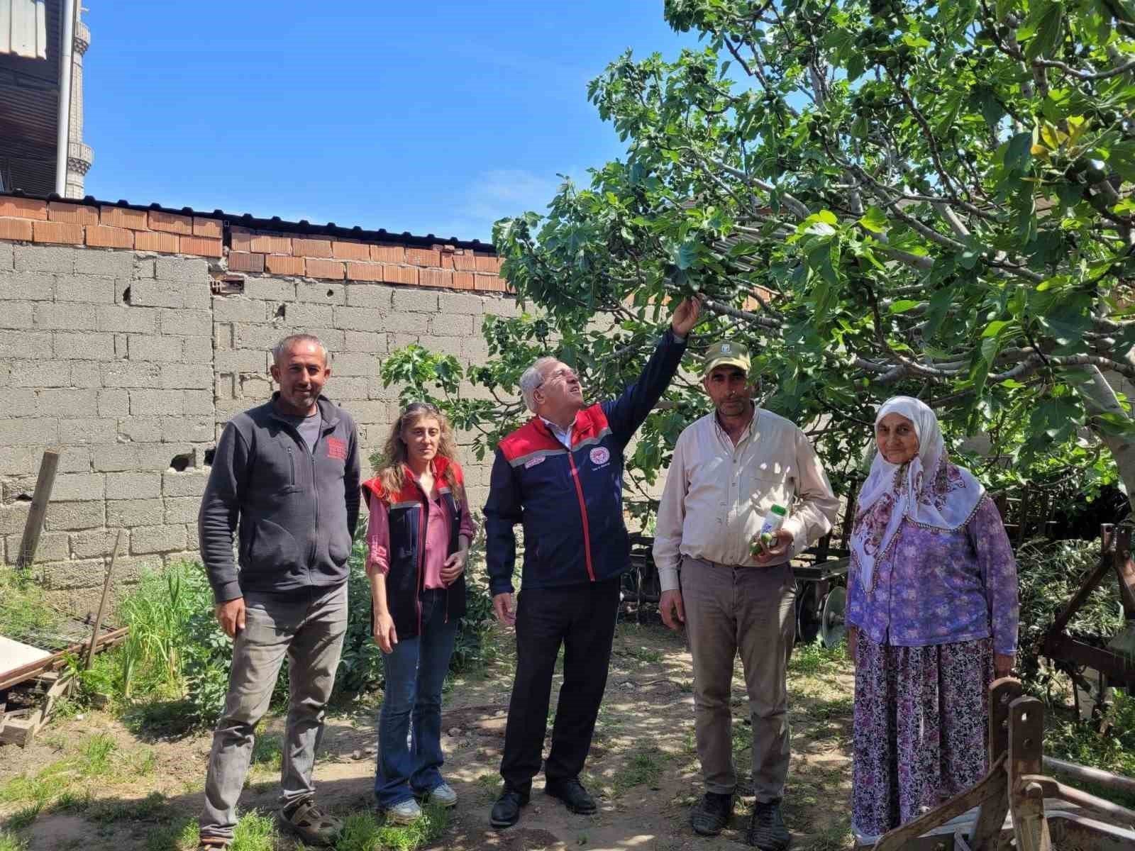 Buharkent Te Ilek Bahceleri Kontrol Edildi 1777119909815 844866