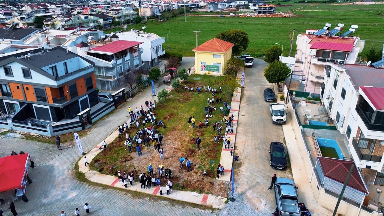 Didimde Fidanlar Toprakla Bulustu 653462 08Cac318A6E193791Eac20Fbb2F56181