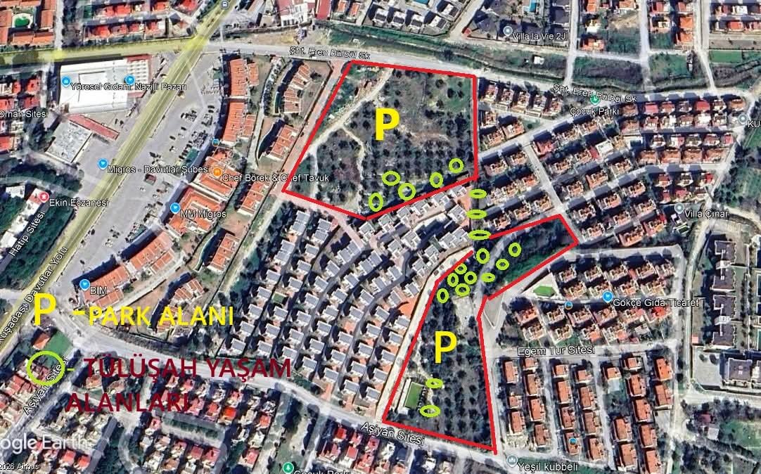 Doga Koruma Mudurlugu Tulusah Icin Kusadasinda 652963 F1Fc496327591Fa4047Aacf3E494546B