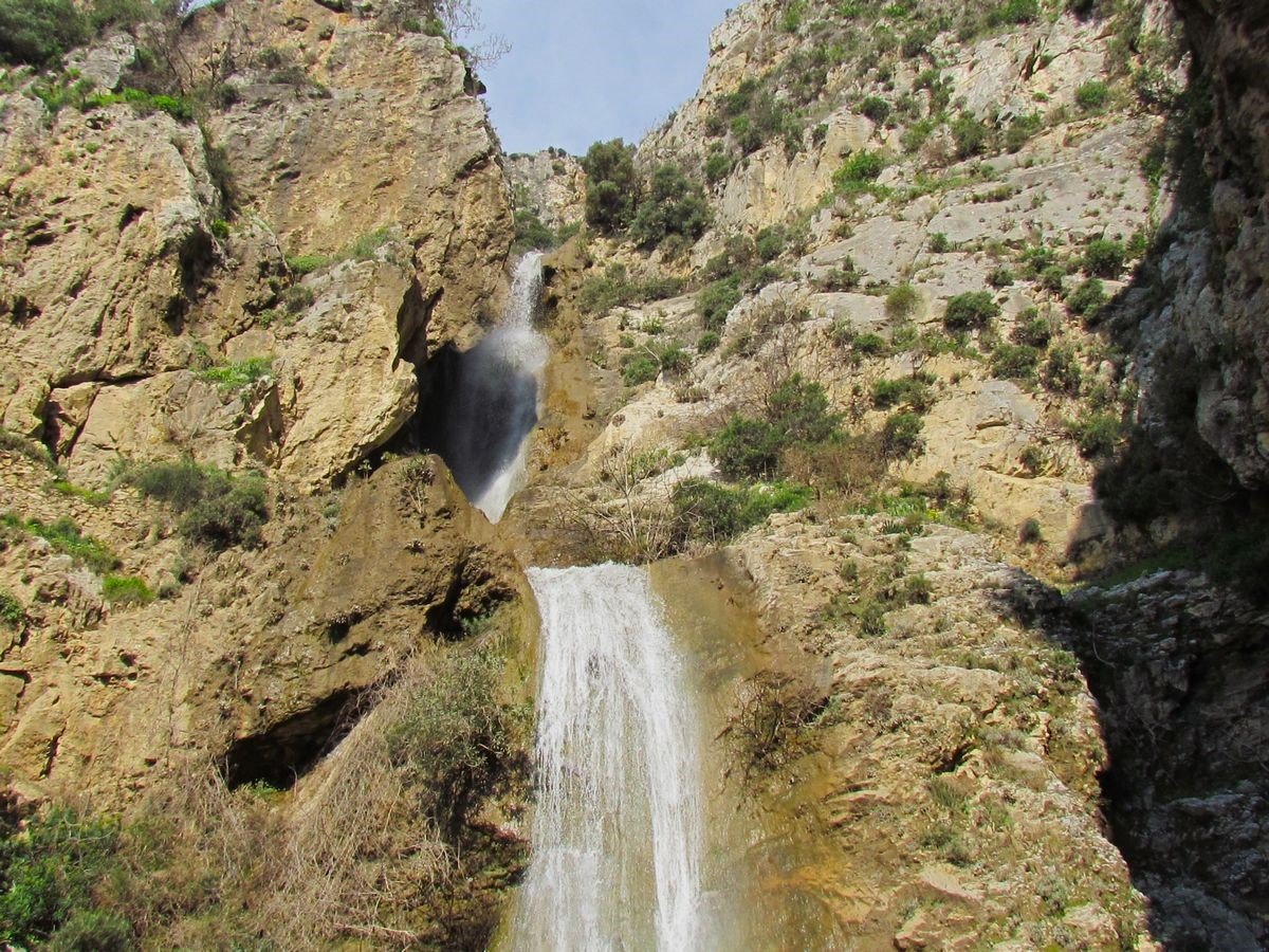 Dunyada Sadece Aydin Da Yetisen Kucuk Can Yok Olma Tehlikesiyle Karsi Karsiya 1777275005838 155515