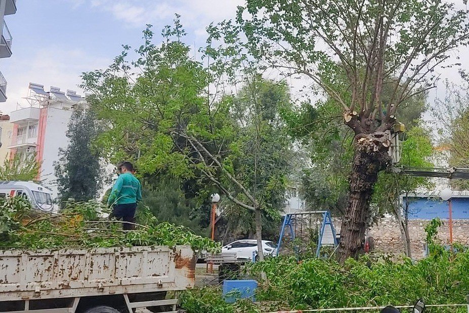 Efeler Belediyesi Ekipleri Kent Genelinde Calismalarini Surduruyor 1777018809989 639340