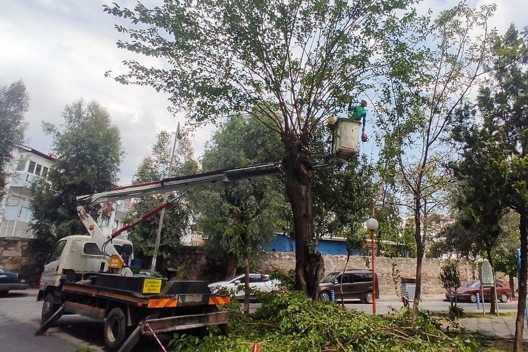 Efeler Belediyesi Ekipleri Kent Genelinde Calismalarini Surduruyor 1777018812004 647911