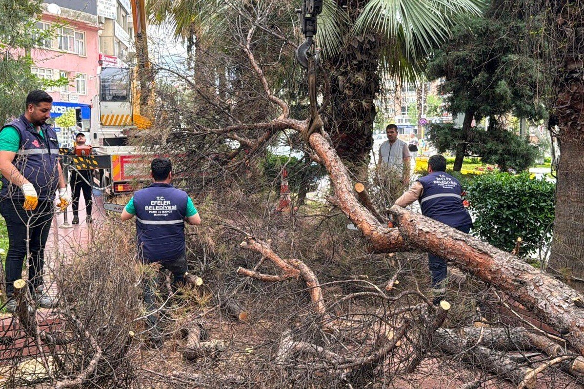 Efeler Belediyesi Parklari Guvenli Hale Getiriyor 1776498303052 64798