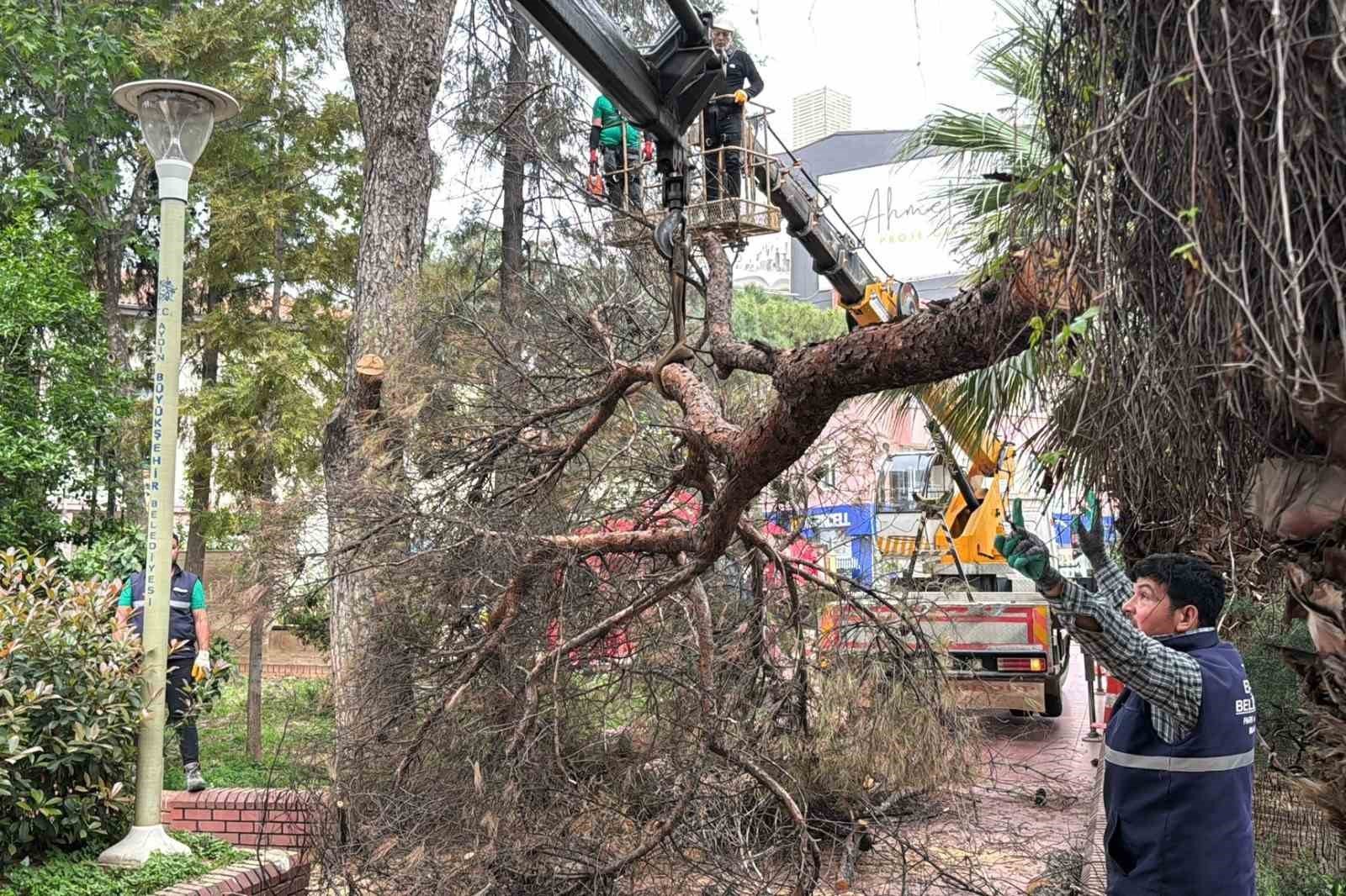 Efeler Belediyesi Parklari Guvenli Hale Getiriyor 1776498303588 66948