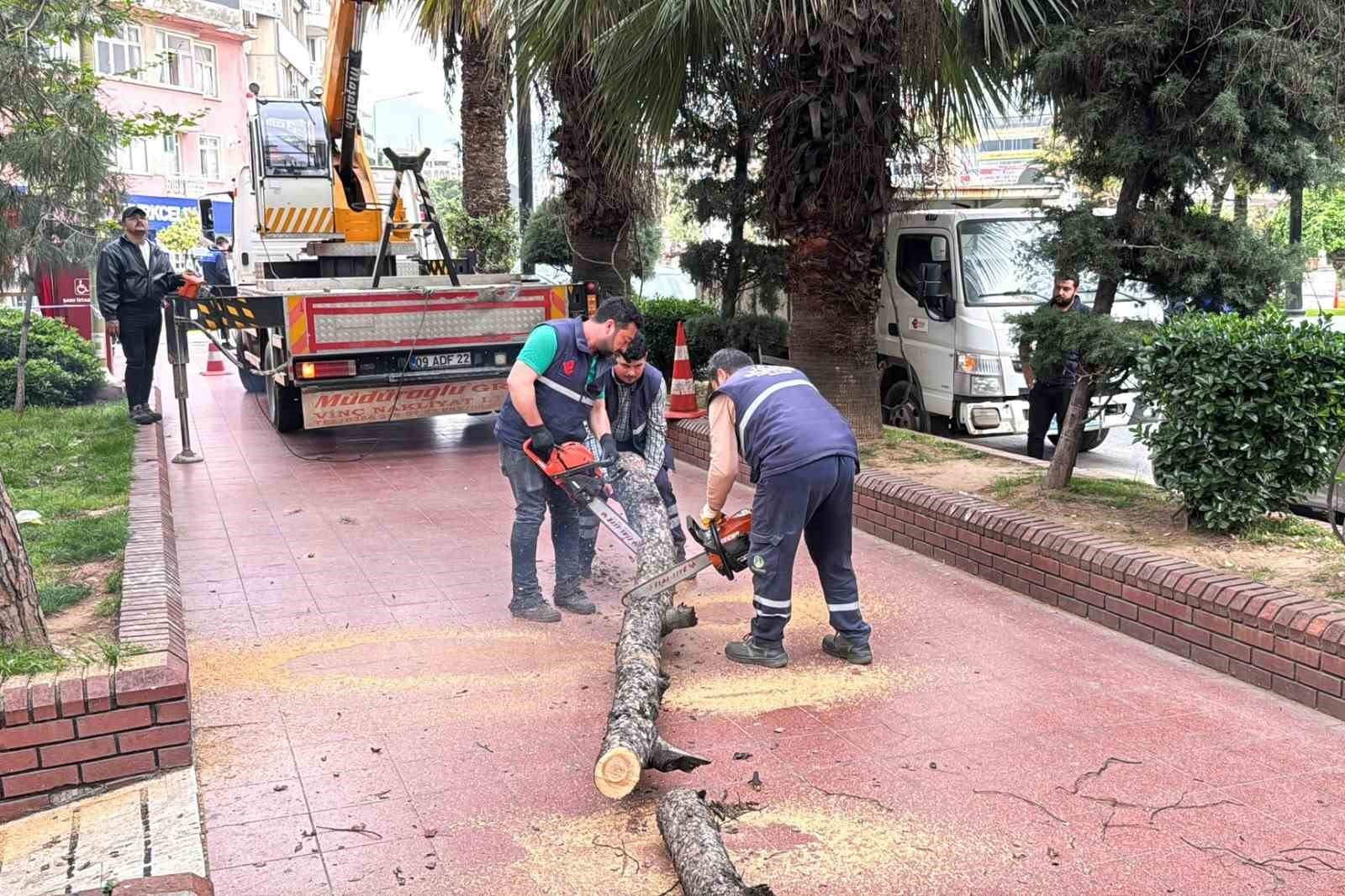 Efeler Belediyesi Parklari Guvenli Hale Getiriyor 1776498305407 662811