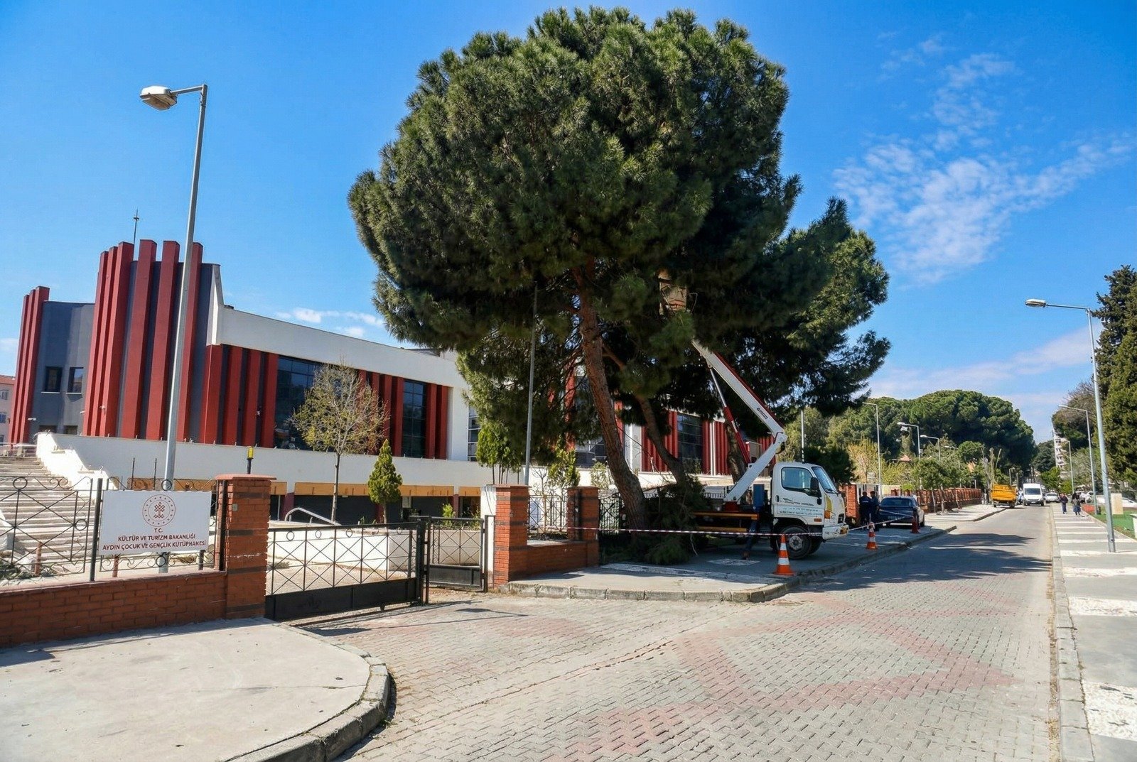 Efeler Belediyesinden Yuksek Cam Agaclarina Bakim 654433 6050F7