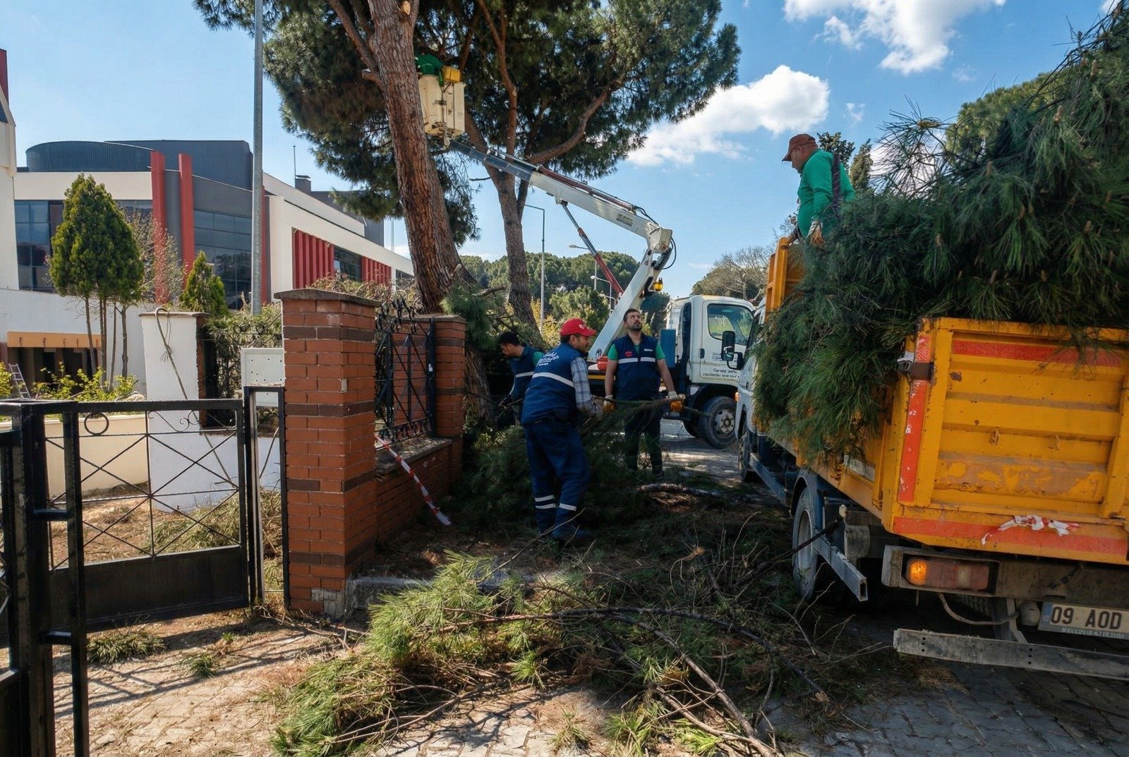 Efeler Belediyesinden Yuksek Cam Agaclarina Bakim 654433 6B2A04