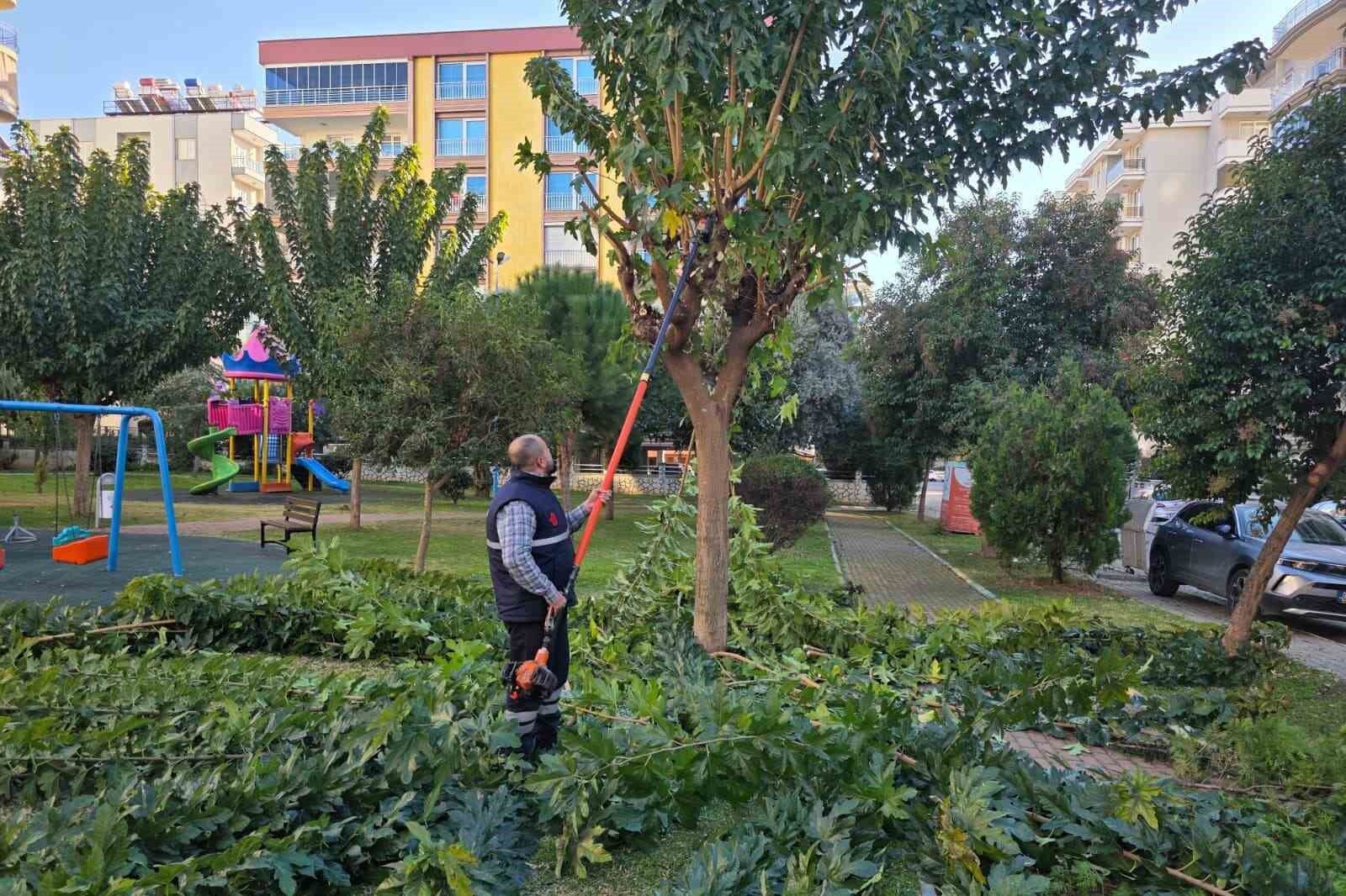 Efelerdeki Parklarda Yenileme Calismalari Suruyor A16Fbb3683961E1Ea77351Def8320A89