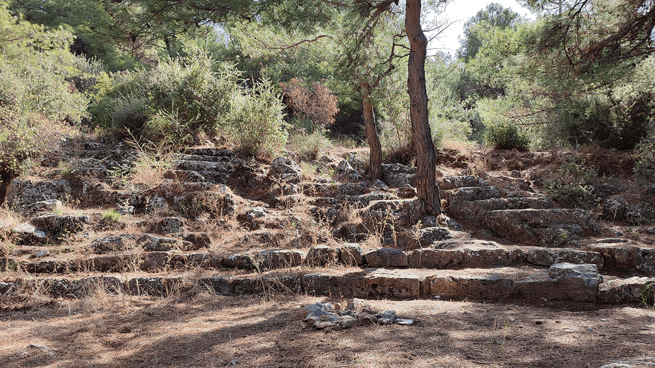 Egenin Kadim Meclisine Ziyaretci Akinipanionion 655657 E84B99