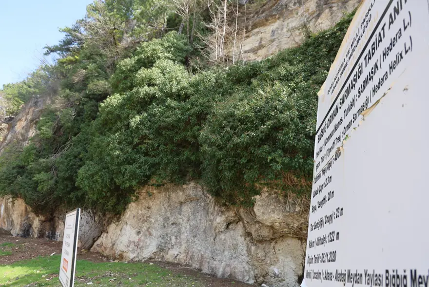 Ekrang C3 B6R C3 B Cnt C3 B Cs C3 B C2026 04 16102438 552991